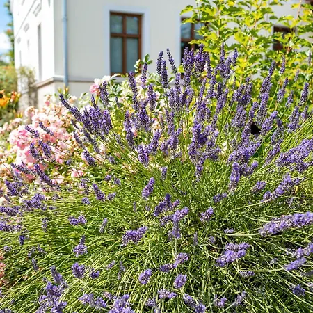 Lägenhet Klosterheide Lindow